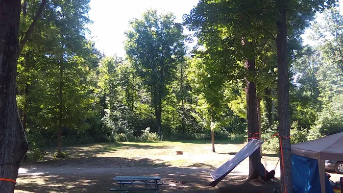 Big Bend Family Campground Picture 4