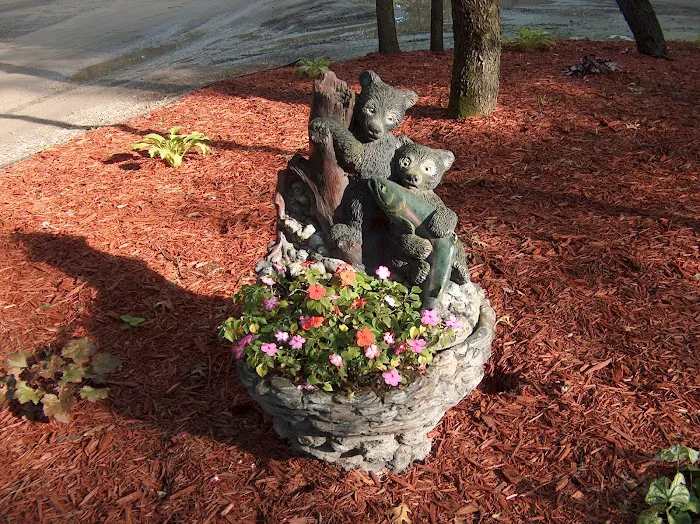 Wilderness Resort Picture 3