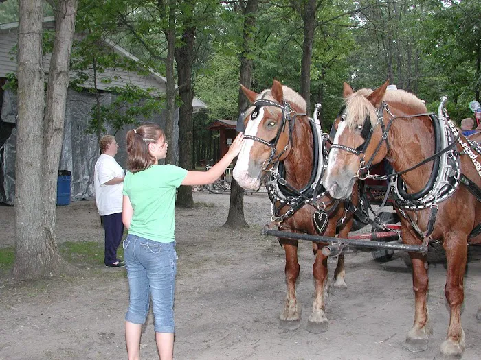 Wilderness Resort Picture 8