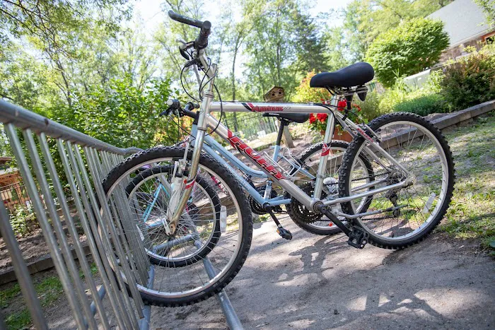 Wilderness Resort Picture 9