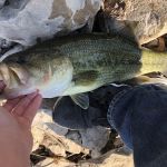 Sleepy Oaks RV Campground