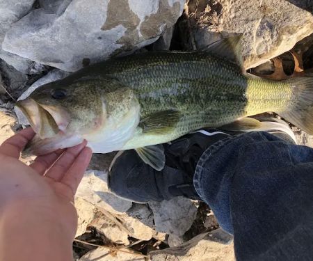 Sleepy Oaks RV Campground