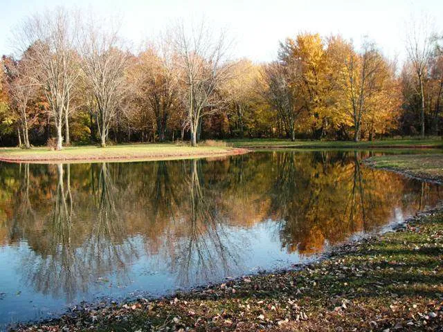 Michigan City Campground Picture 2