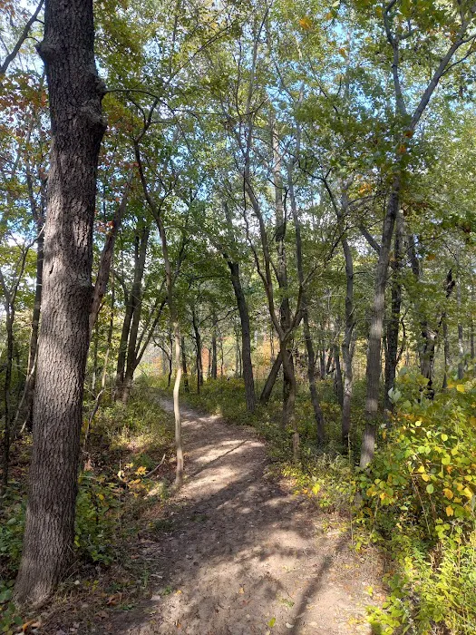 Central Avenue Walk-in Campsites Picture 7