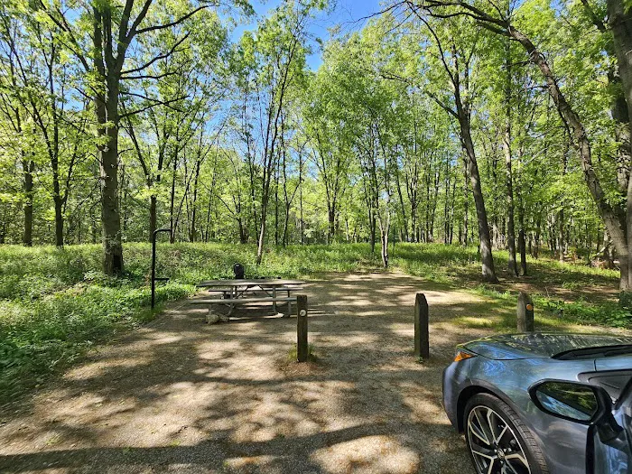 Dunewood Campground Picture 2