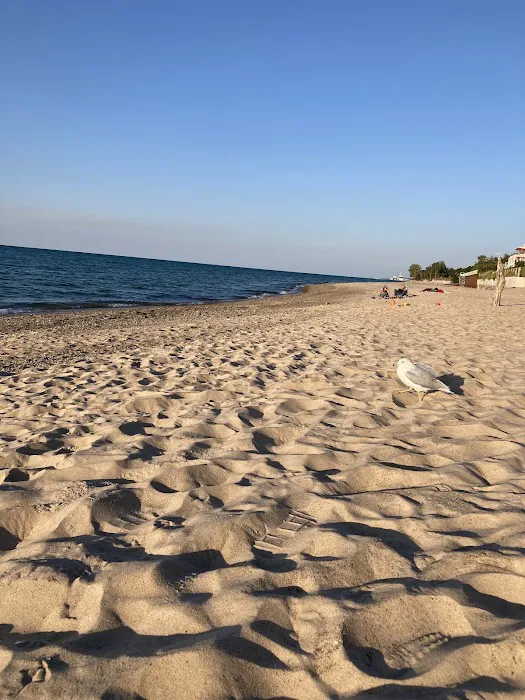 Dunbar Group Campsite Picture 1