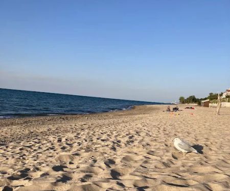 Dunbar Group Campsite