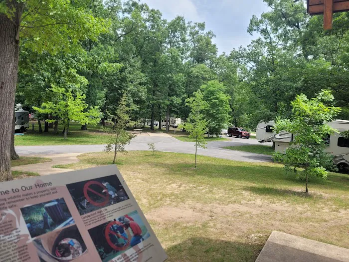 Electric Campground Picture 2