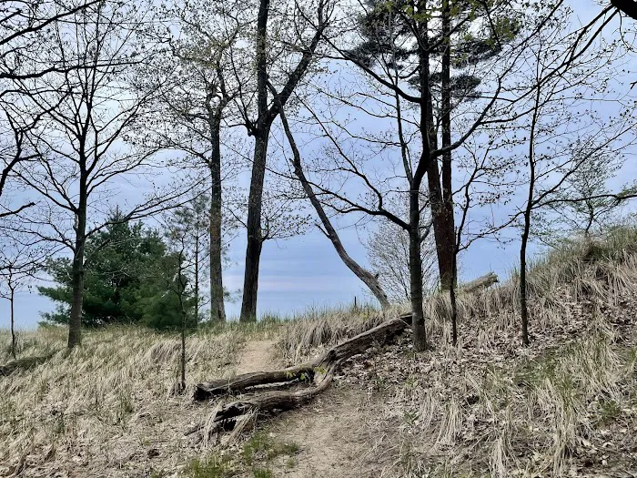 Muskegon State Park Beach Campground Picture 8