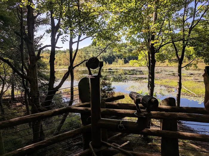Muskegon State Park Beach Campground Picture 9