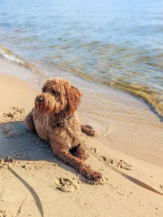 Muskegon State Park Beach Campground Picture 10
