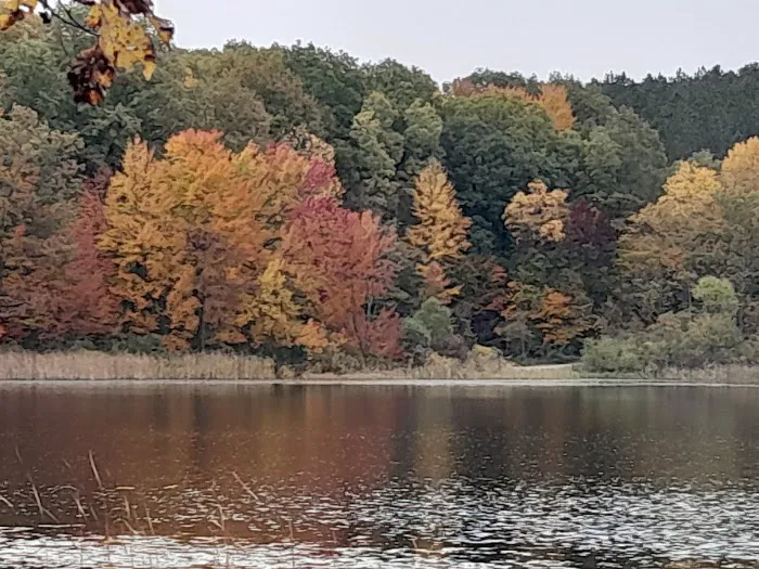 Brush Lake Campground Picture 2