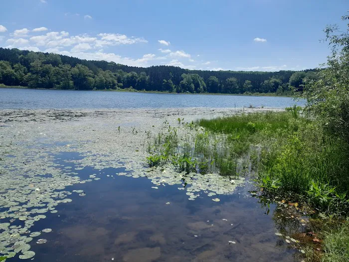 Brush Lake Campground Picture 3