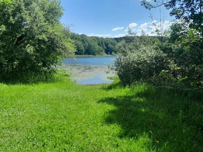 Brush Lake Campground Picture 5