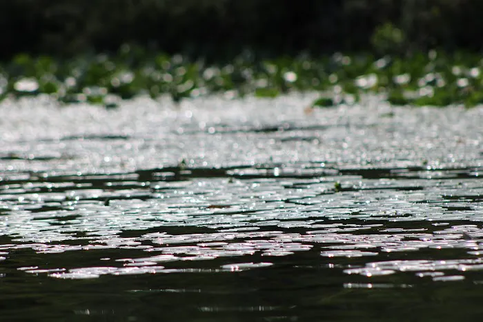 Diamond Lake County Park Picture 8