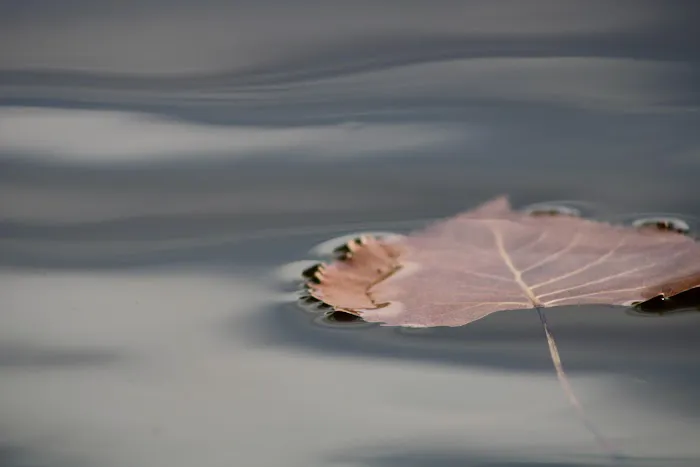Diamond Lake County Park Picture 9