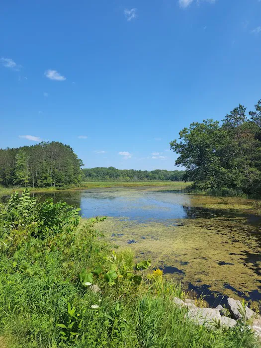 Minnie Pond Campground Picture 3