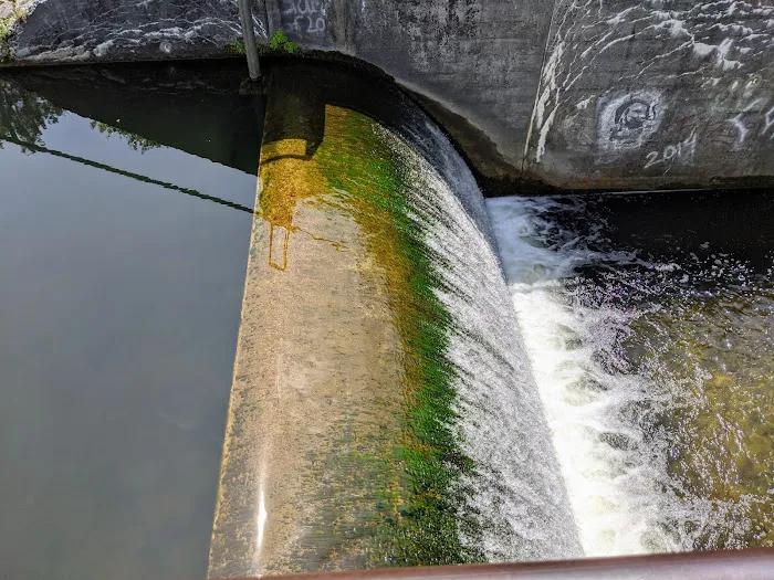 Minnie Pond Campground Picture 2