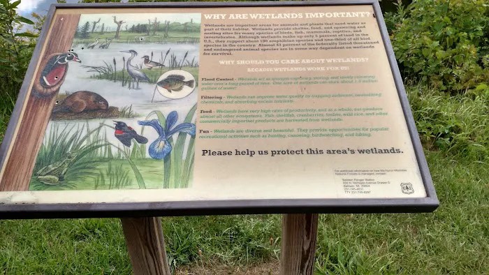 Minnie Pond Campground Picture 7