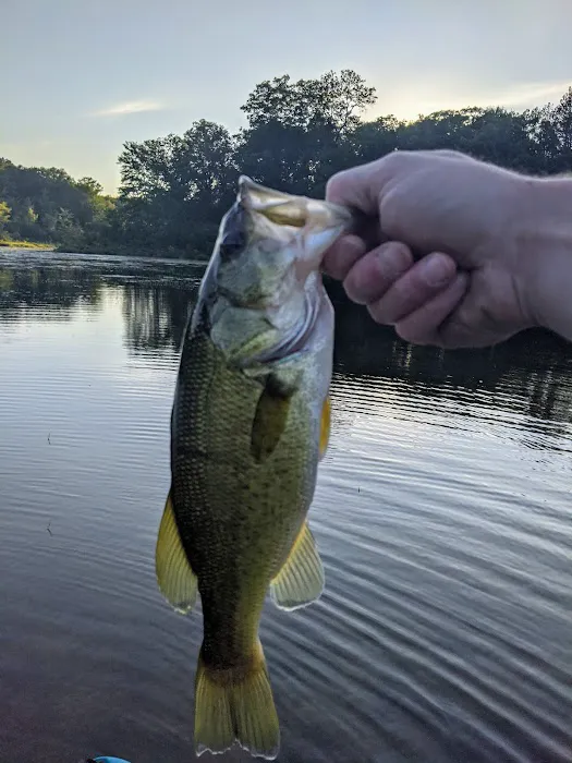 Minnie Pond Campground Picture 6