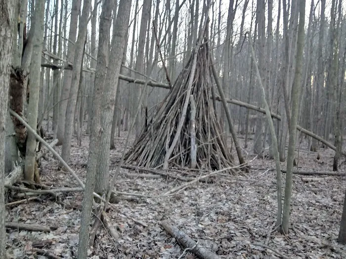 Minnie Pond Campground Picture 10