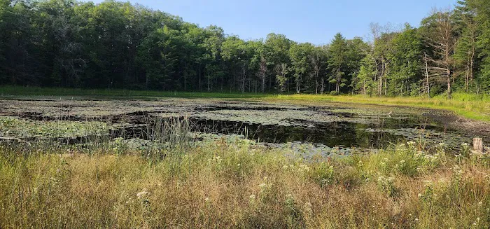 Indian Lake Picture 6