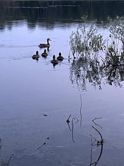 Indian Lake Picture 8