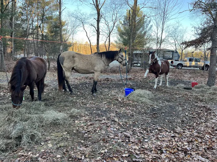Timbers Edge Campground Picture 2