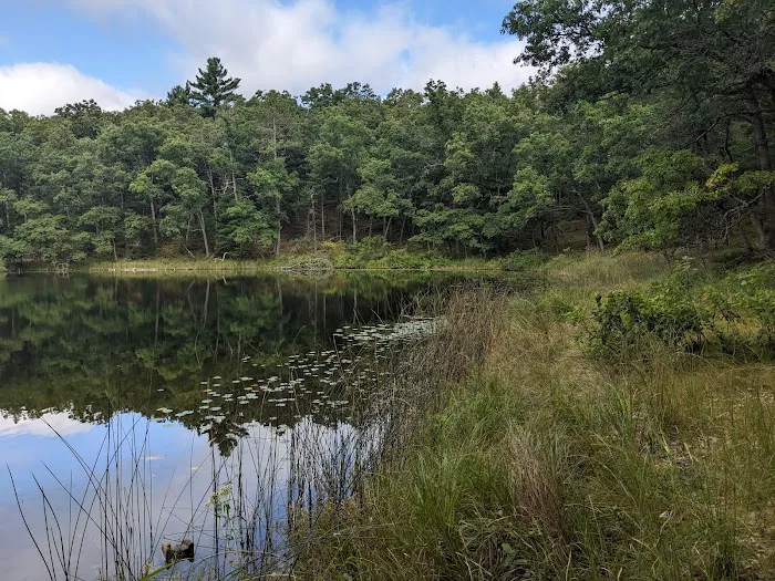 Bass Lake Campsite, Owasippe Scout Reservation Picture 2