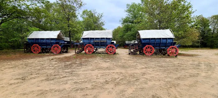 Wagons On Picture 1