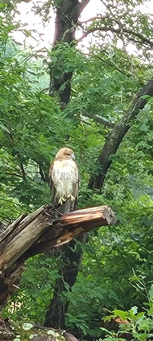 Oak Meadows Picture 1