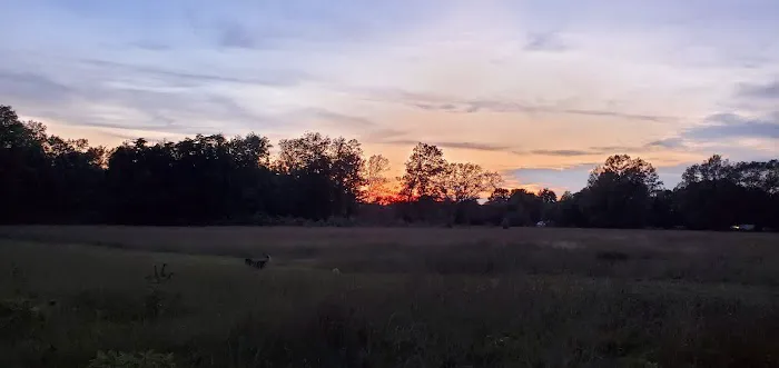 Oak Meadows Picture 7