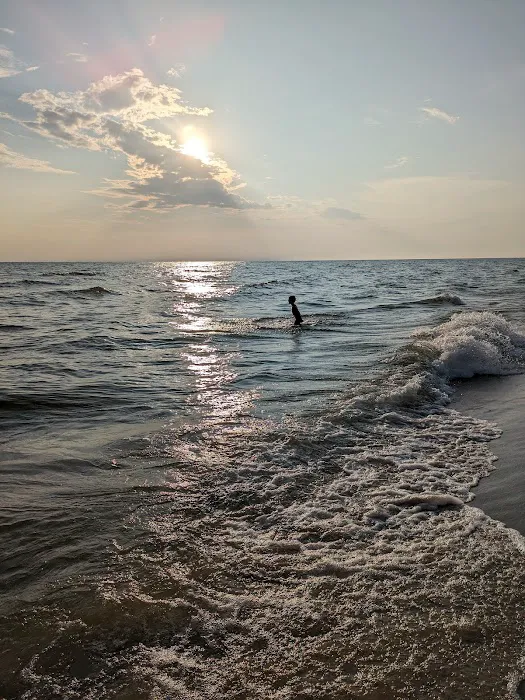 Pioneer Park Campground Picture 1