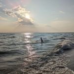 Pioneer Park Campground