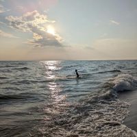 Pioneer Park Campground ico