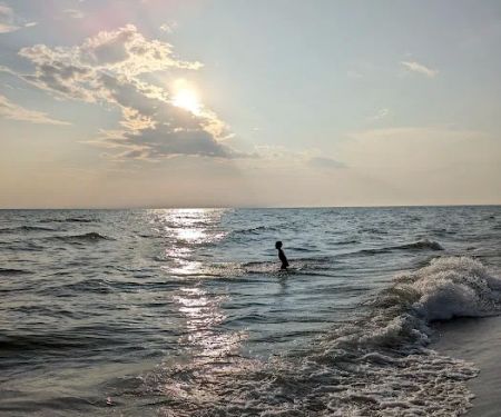 Pioneer Park Campground