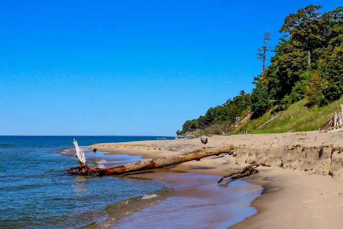 Pioneer Park Campground Picture 2