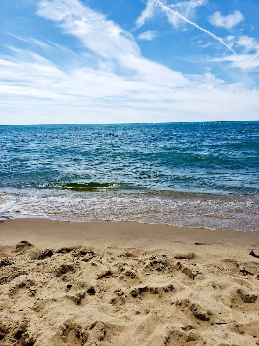 Pioneer Park Campground Picture 5