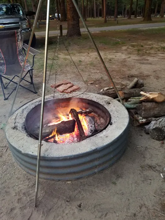 Pioneer Park Campground Picture 10