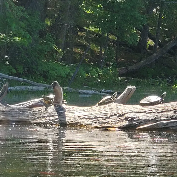 Hiawatha Beach Campsite, Owasippe Scout Reservation Picture 6