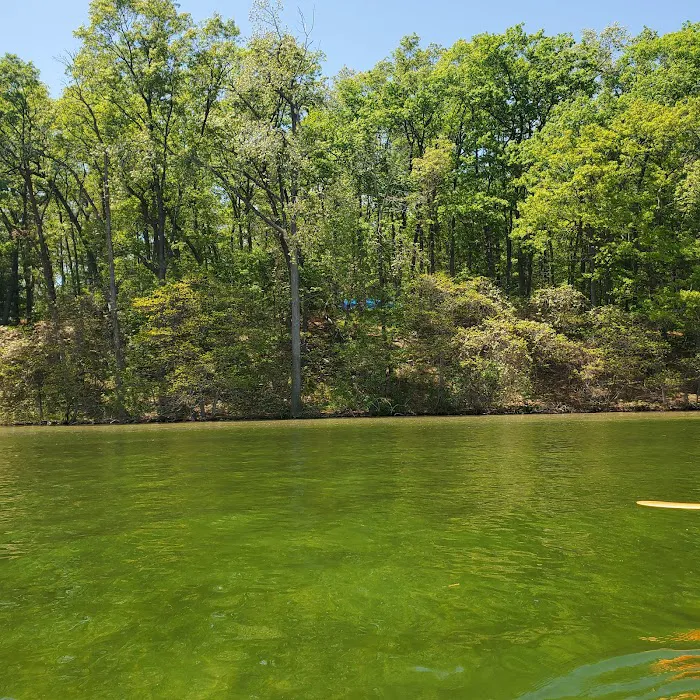 Hiawatha Beach Campsite, Owasippe Scout Reservation Picture 8