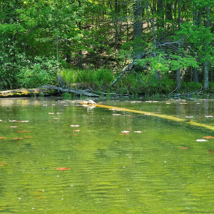 Hiawatha Beach Campsite, Owasippe Scout Reservation Picture 9
