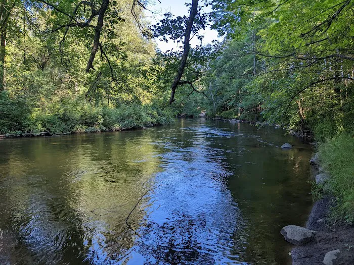 Pines Point Campground Picture 3