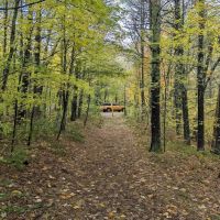 Pines Point Campground ico