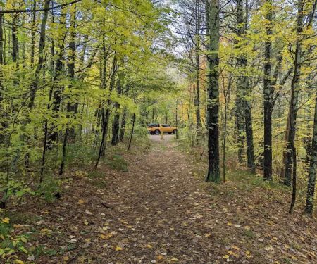 Pines Point Campground