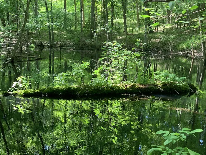 Pines Point Campground Picture 6