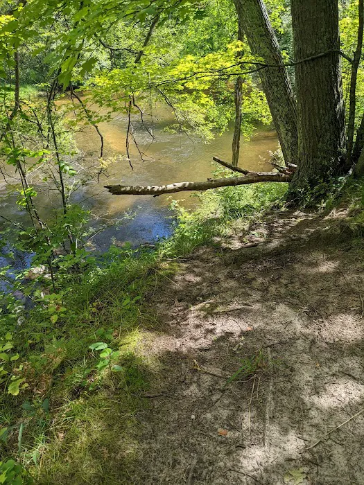 Pines Point Campground Picture 7