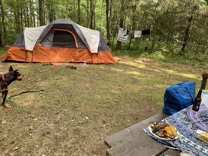 Benton Lake Campground Picture 2