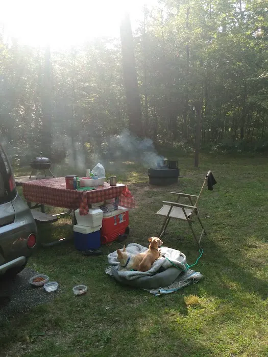 Benton Lake Campground Picture 9