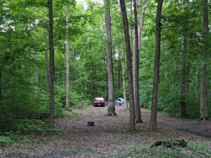 Turkey Run Canoe & Camping Picture 3